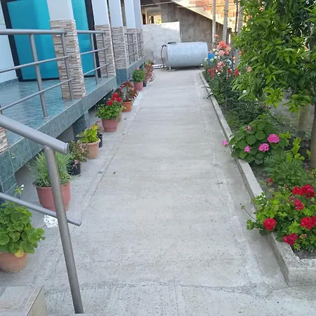N Dervishi Vlorë